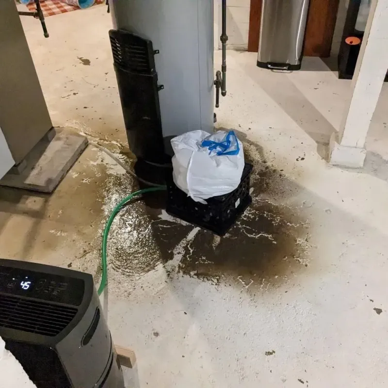 Sewage Backup Cleanup Service in Moberly, MO